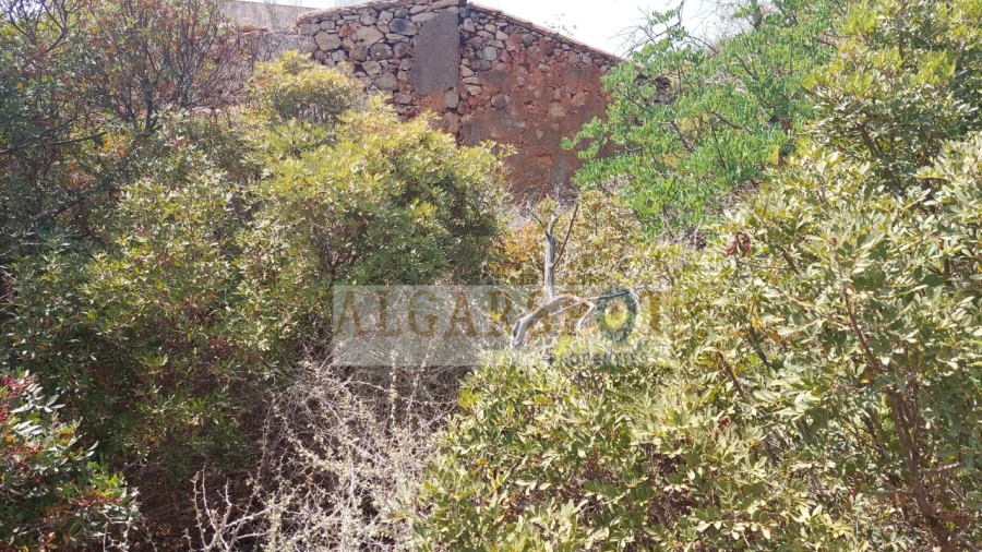 Terreno Misto para Venda em Loule (São Clemente) Foto 5