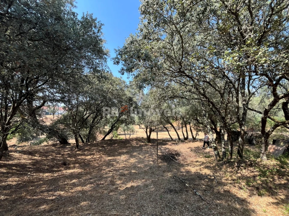 Terreno para Venda em Madalena e Beselga Foto 8