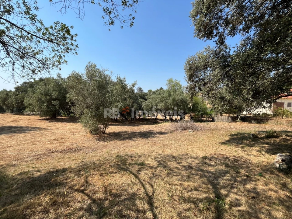 Terreno para Venda em Madalena e Beselga Foto 10