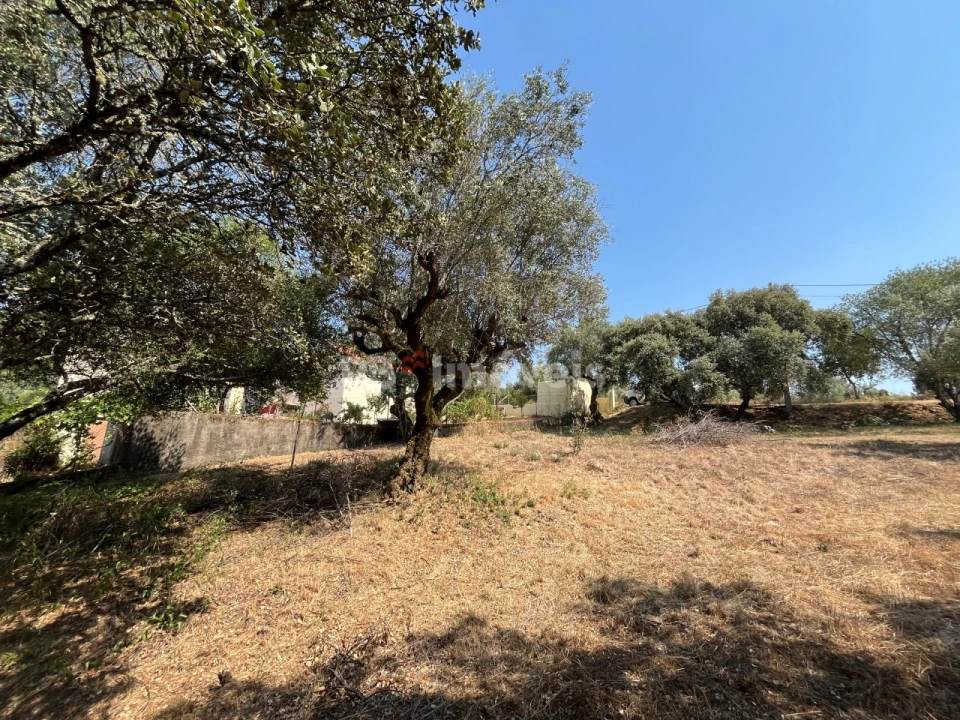 Terreno para Venda em Madalena e Beselga Foto 12