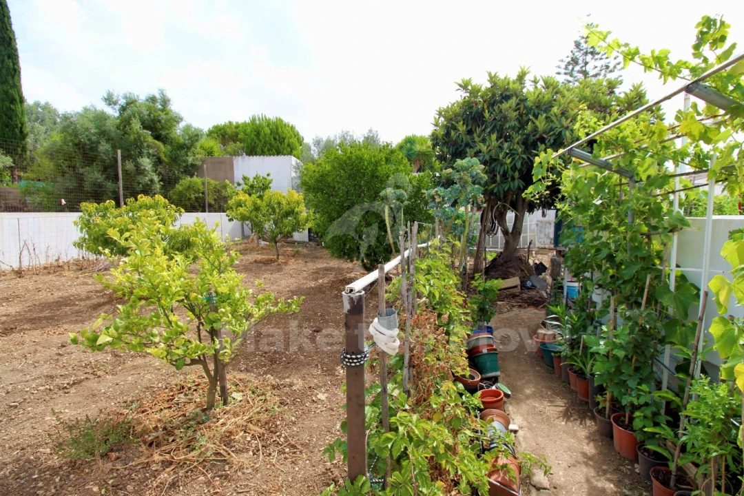 Moradia T4 para Venda em São Brás de Alportel Foto 6