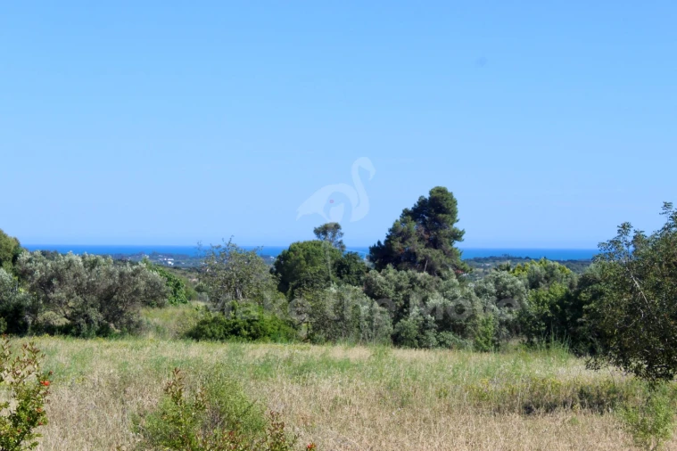 Quinta T5 para Venda em Moncarapacho e Fuseta Foto 3