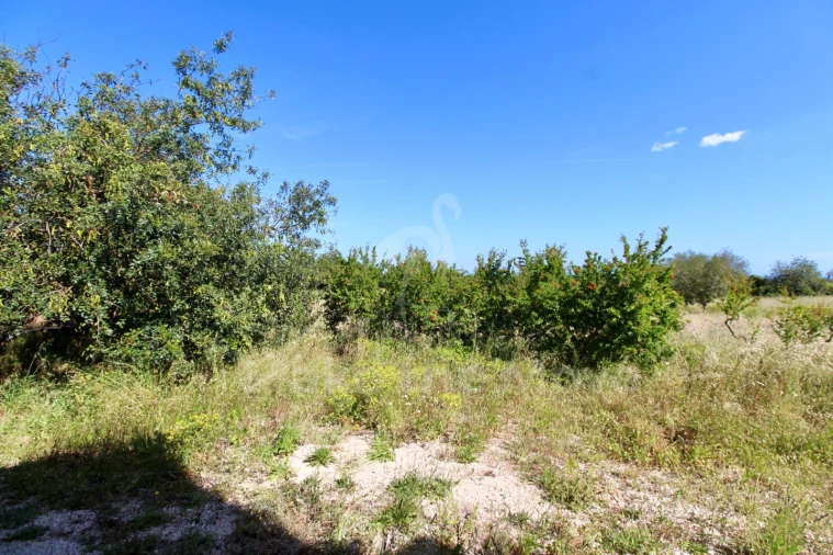 Quinta T5 para Venda em Moncarapacho e Fuseta Foto 26