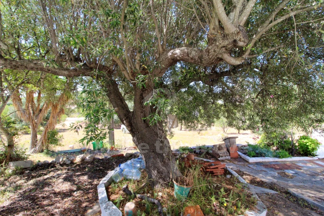 Quinta T3 para Venda em Moncarapacho e Fuseta Foto 9