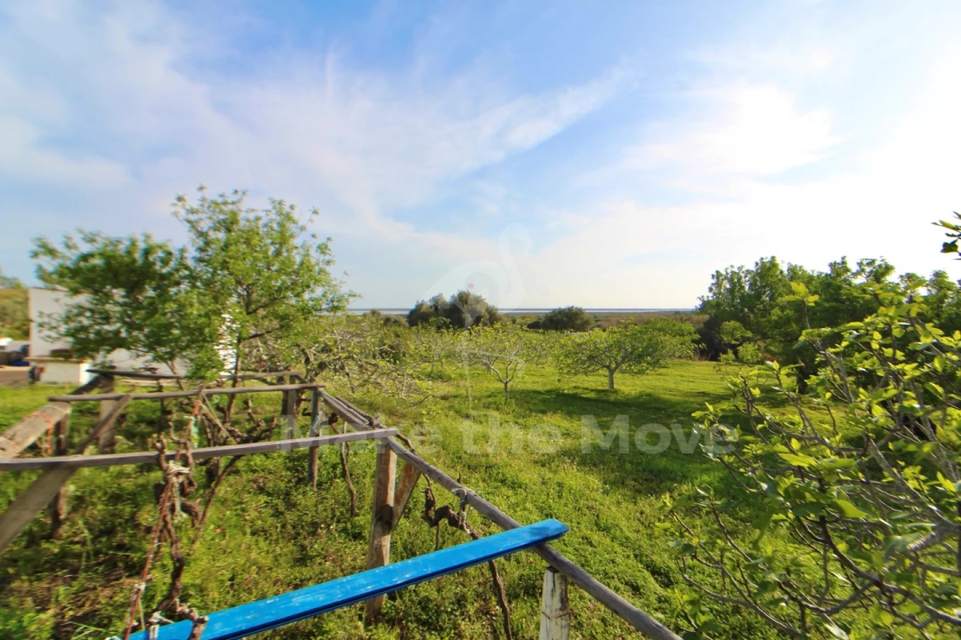 Quinta T2 para Venda em Moncarapacho e Fuseta Foto 11