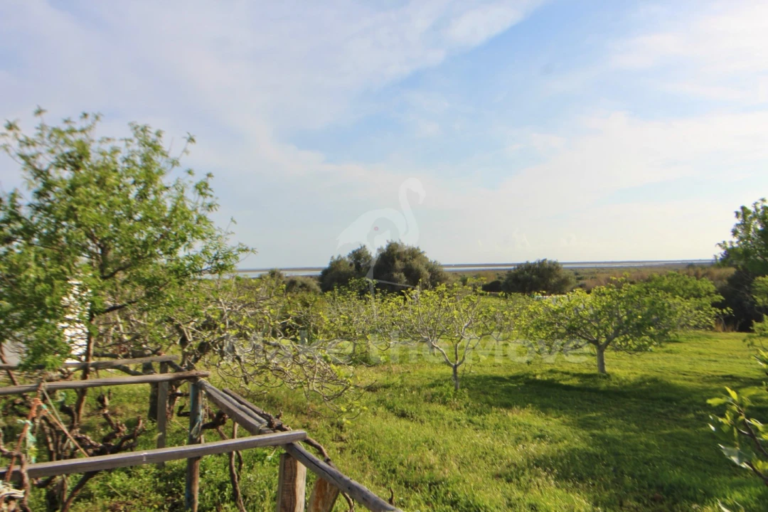 Quinta T2 para Venda em Moncarapacho e Fuseta Foto 12