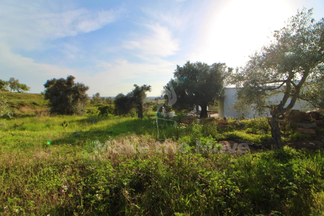 Quinta T2 para Venda em Moncarapacho e Fuseta Foto 13