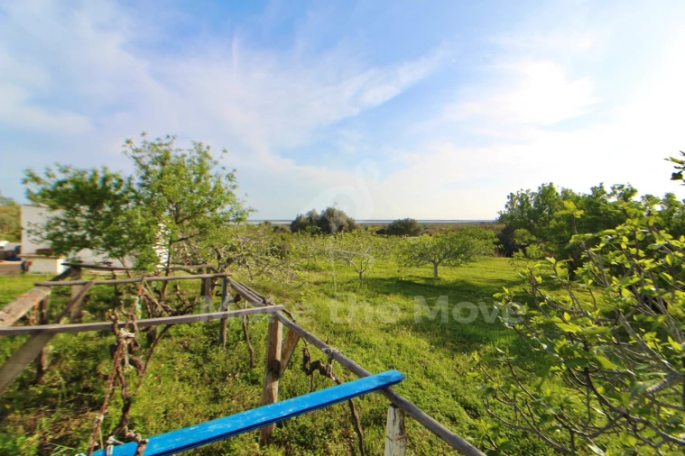 Quinta T2 para Venda em Moncarapacho e Fuseta Foto 11