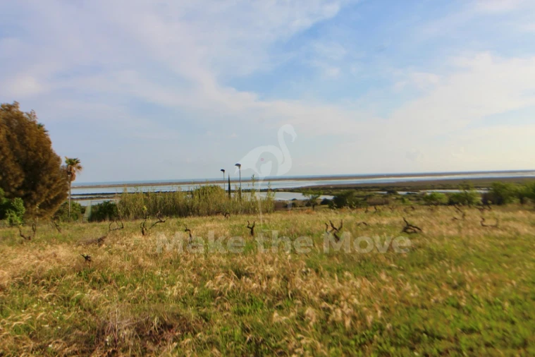 Quinta T2 para Venda em Moncarapacho e Fuseta Foto 14