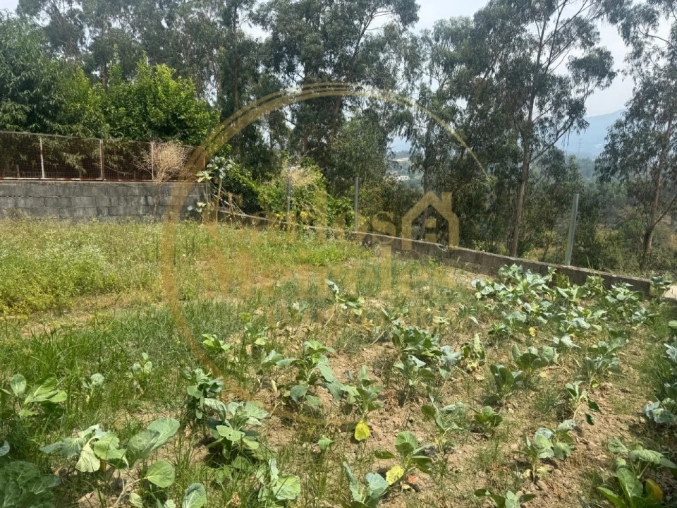 Moradia T3 para Venda em Vila Verde e Barbudo Foto 44