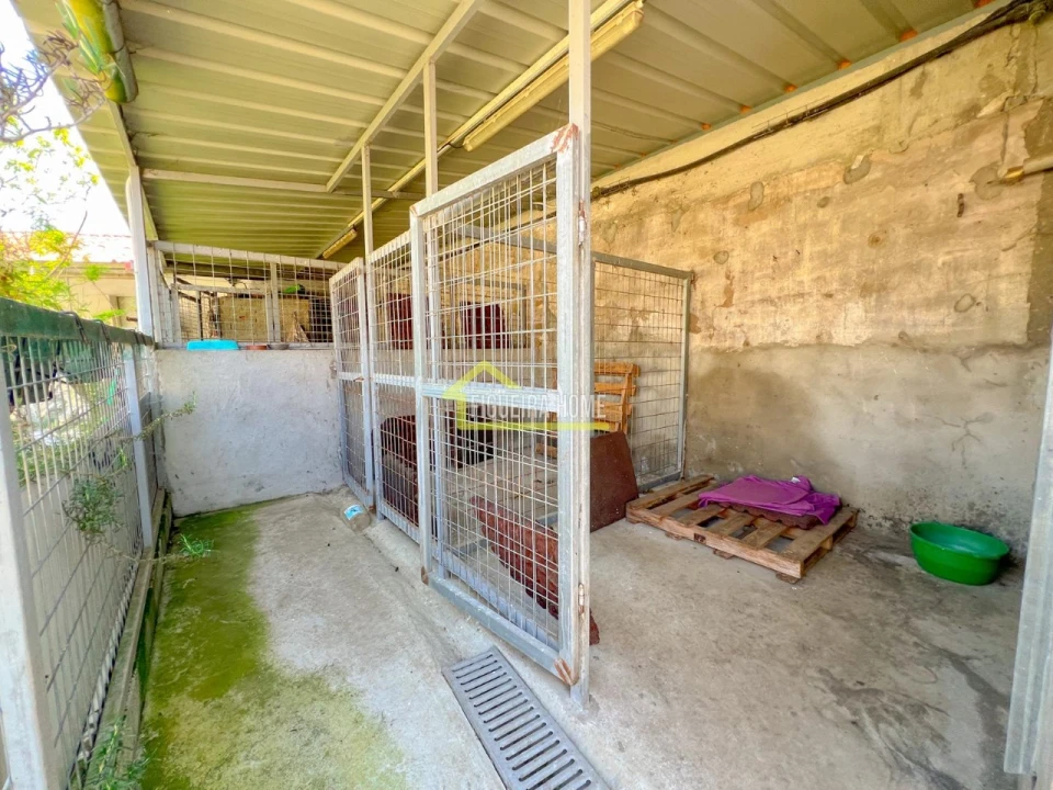 Moradia T4 para Venda em Ferreira-A-Nova Foto 10