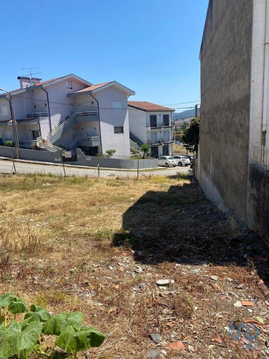 Terreno para Venda em Campo e Sobrado Foto 6