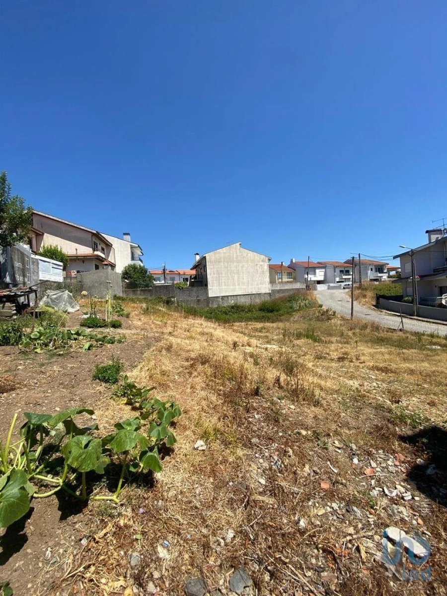 Terreno para Venda em Campo e Sobrado Foto 10