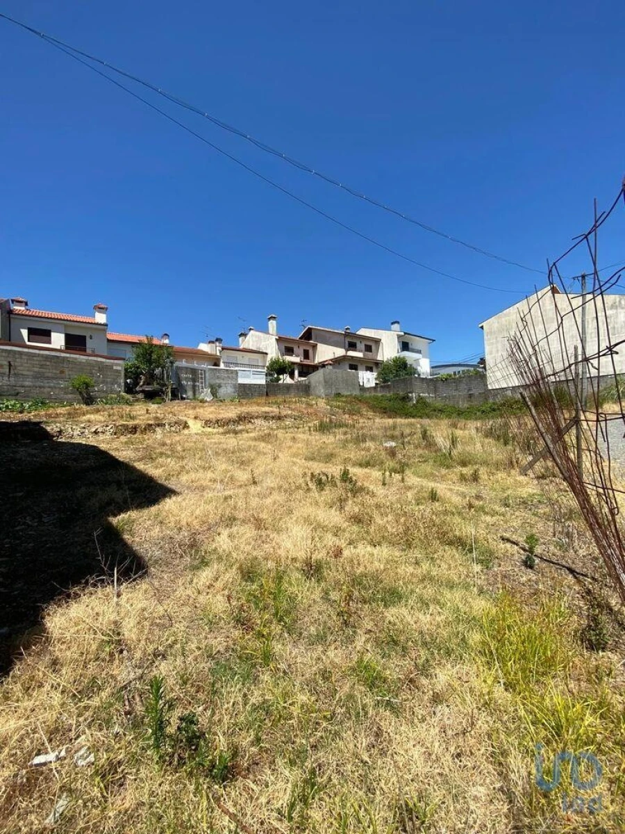 Terreno para Venda em Campo e Sobrado Foto 12