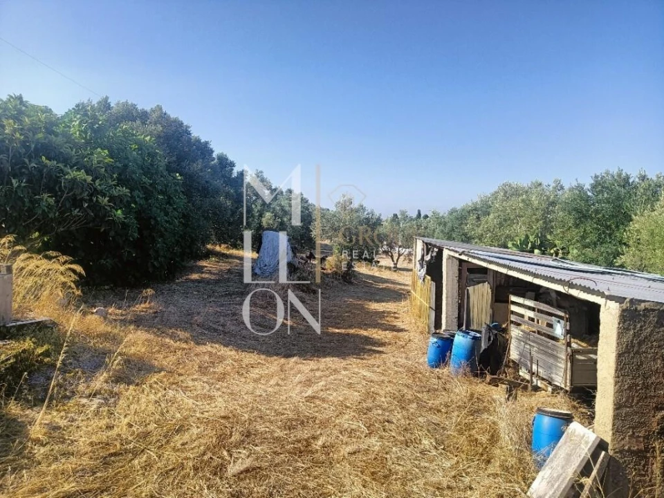 Terreno para Venda em Alcabideche Foto 1