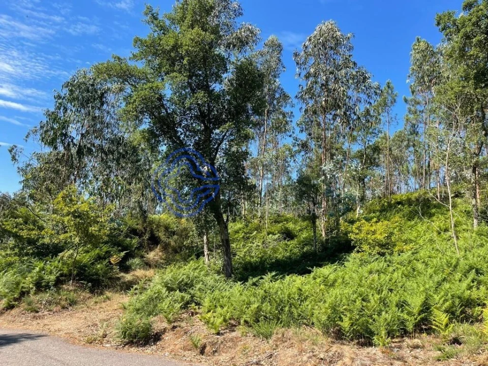 Terreno para Venda em Santa Maria da Feira, Travanca, Sanfins e Espargo Foto 14