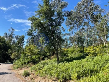 Terreno para Venda em Santa Maria da Feira, Travanca, Sanfins e Espargo