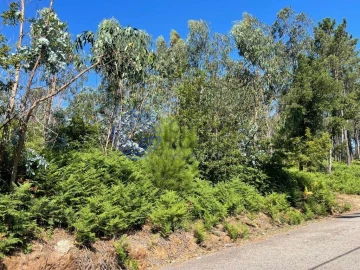 Terreno para Venda em Santa Maria da Feira, Travanca, Sanfins e Espargo