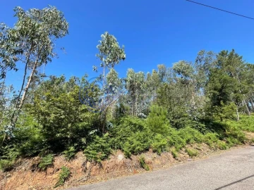 Terreno para Venda em Santa Maria da Feira, Travanca, Sanfins e Espargo