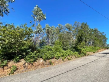 Terreno para Venda em Santa Maria da Feira, Travanca, Sanfins e Espargo