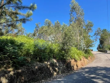 Terreno para Venda em Santa Maria da Feira, Travanca, Sanfins e Espargo