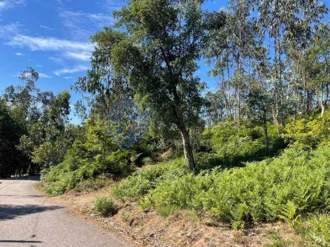 Terreno para Venda em Santa Maria da Feira, Travanca, Sanfins e Espargo Foto 15