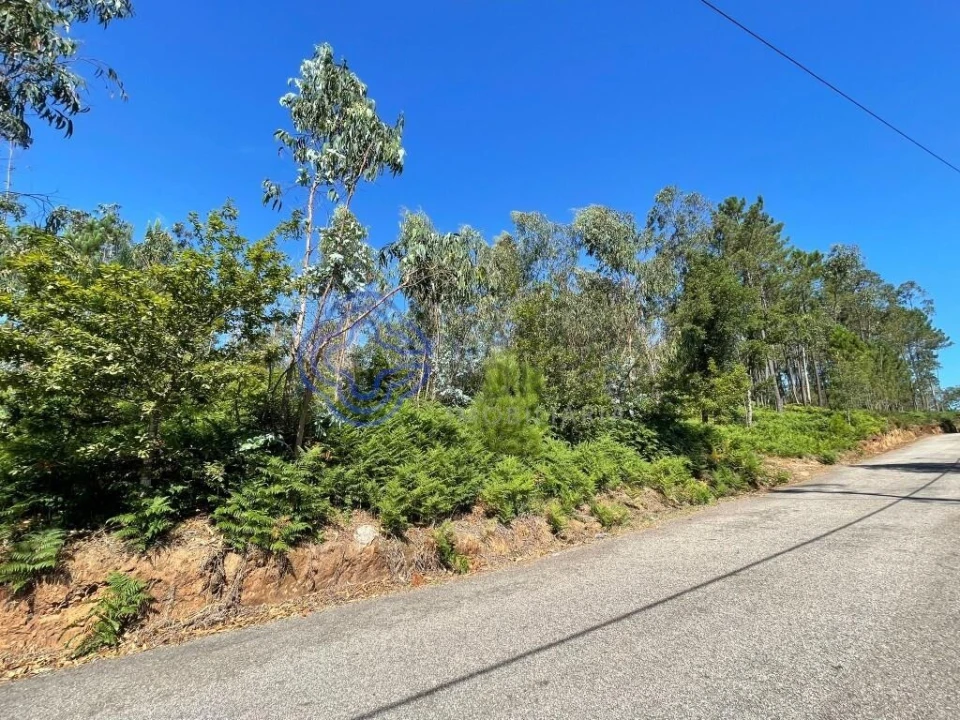Terreno para Venda em Santa Maria da Feira, Travanca, Sanfins e Espargo Foto 8