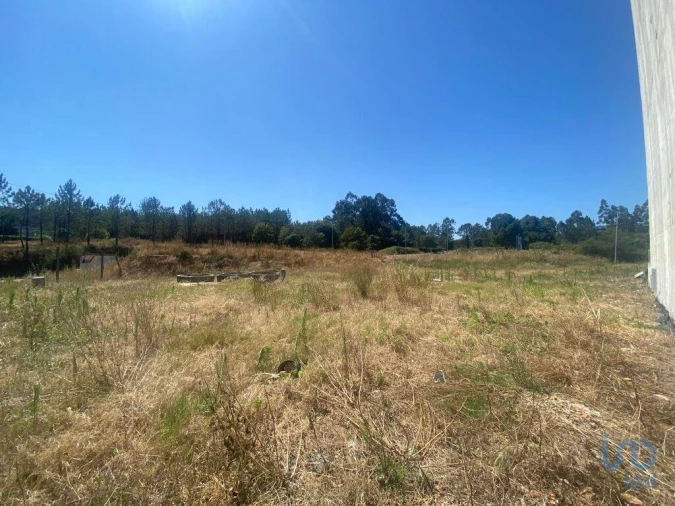 Terreno para Venda em Valongo Foto 6