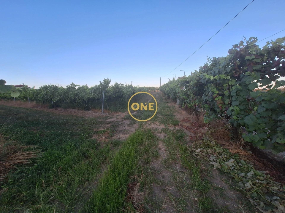 Terreno para Venda em Chorente, Góios, Courel, Pedra Furada e Gueral Foto 18
