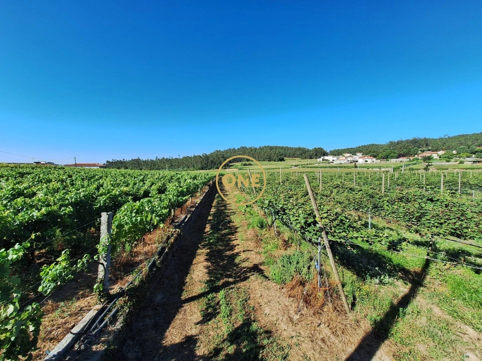 Terreno para Venda em Chorente, Góios, Courel, Pedra Furada e Gueral Foto 3
