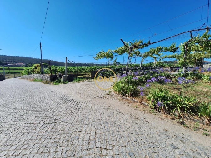 Terreno para Venda em Chorente, Góios, Courel, Pedra Furada e Gueral Foto 1