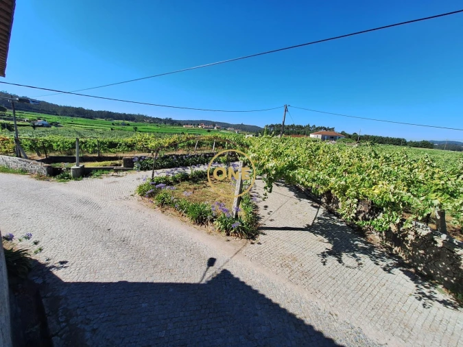 Terreno para Venda em Chorente, Góios, Courel, Pedra Furada e Gueral Foto 2