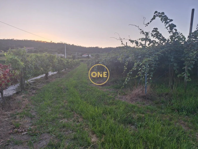 Terreno para Venda em Chorente, Góios, Courel, Pedra Furada e Gueral Foto 16