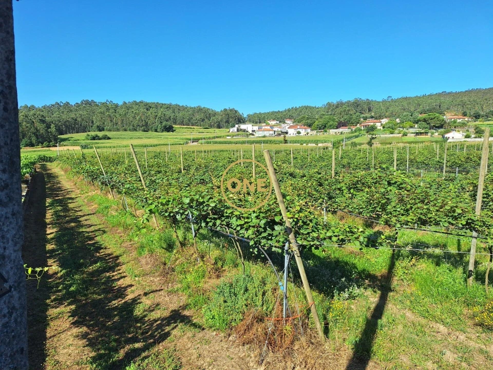 Terreno para Venda em Chorente, Góios, Courel, Pedra Furada e Gueral Foto 5