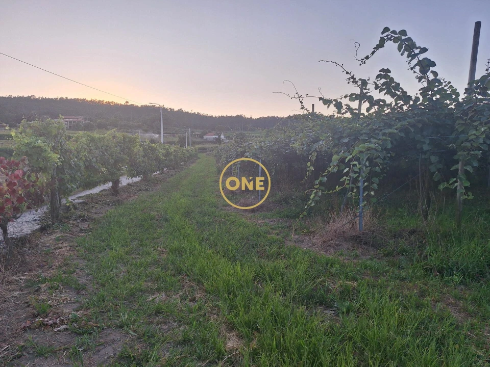 Terreno para Venda em Chorente, Góios, Courel, Pedra Furada e Gueral Foto 16