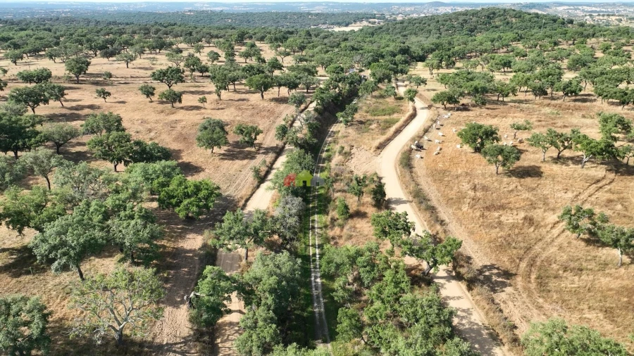 Quinta T3 para Venda em Nossa Senhora da Vila, Nossa Senhora do Bispo e Silveiras Foto 41