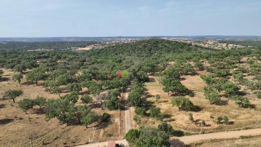 Quinta T3 para Venda em Nossa Senhora da Vila, Nossa Senhora do Bispo e Silveiras Foto 42