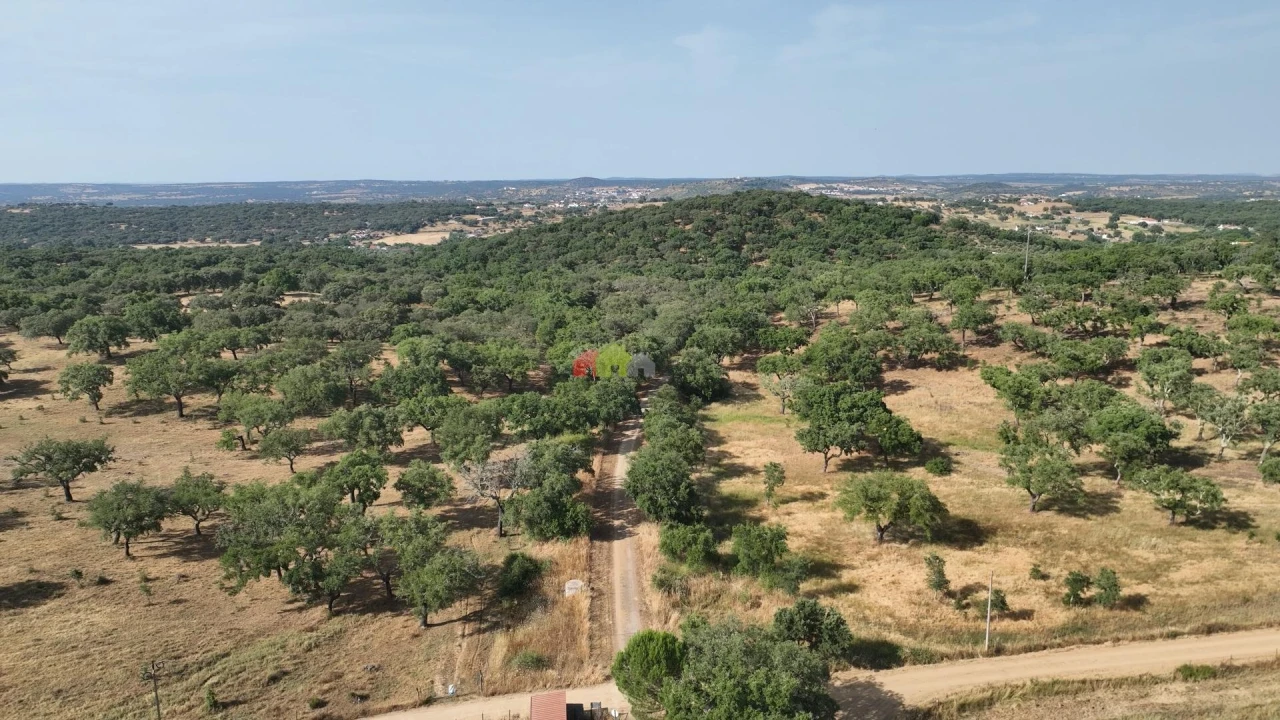 Quinta T3 para Venda em Nossa Senhora da Vila, Nossa Senhora do Bispo e Silveiras Foto 42