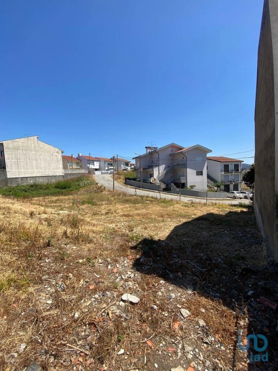 Terreno para Venda em Campo e Sobrado Foto 10