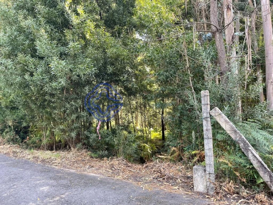 Terreno para Venda em Santa Maria da Feira, Travanca, Sanfins e Espargo Foto 4