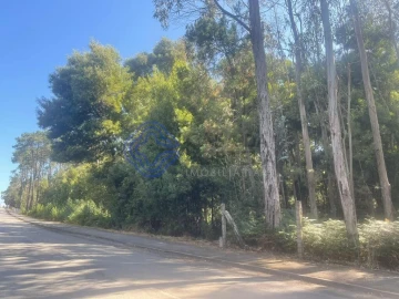 Terreno para Venda em Santa Maria da Feira, Travanca, Sanfins e Espargo