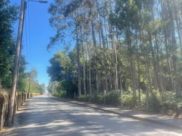 Terreno para Venda em Santa Maria da Feira, Travanca, Sanfins e Espargo
