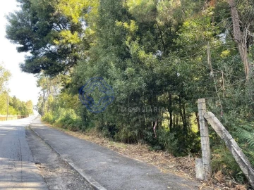 Terreno para Venda em Santa Maria da Feira, Travanca, Sanfins e Espargo