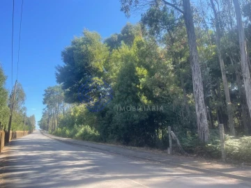 Terreno para Venda em Santa Maria da Feira, Travanca, Sanfins e Espargo