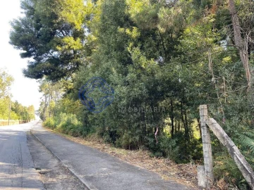 Terreno para Venda em Santa Maria da Feira, Travanca, Sanfins e Espargo