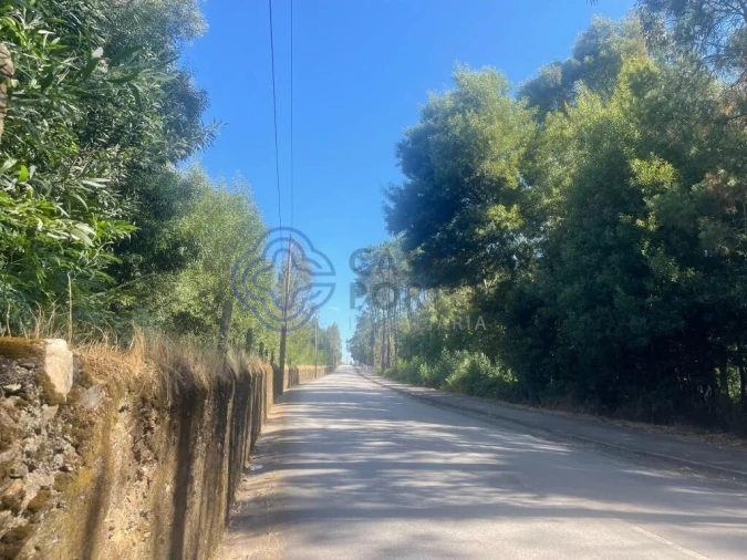 Terreno para Venda em Santa Maria da Feira, Travanca, Sanfins e Espargo Foto 5