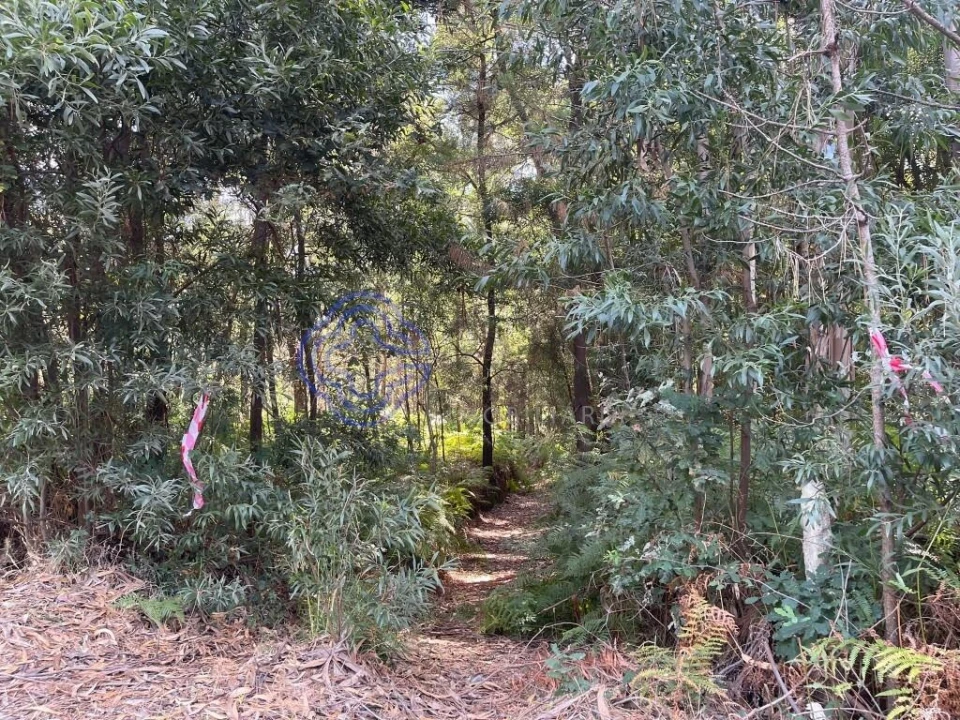 Terreno para Venda em Santa Maria da Feira, Travanca, Sanfins e Espargo Foto 9