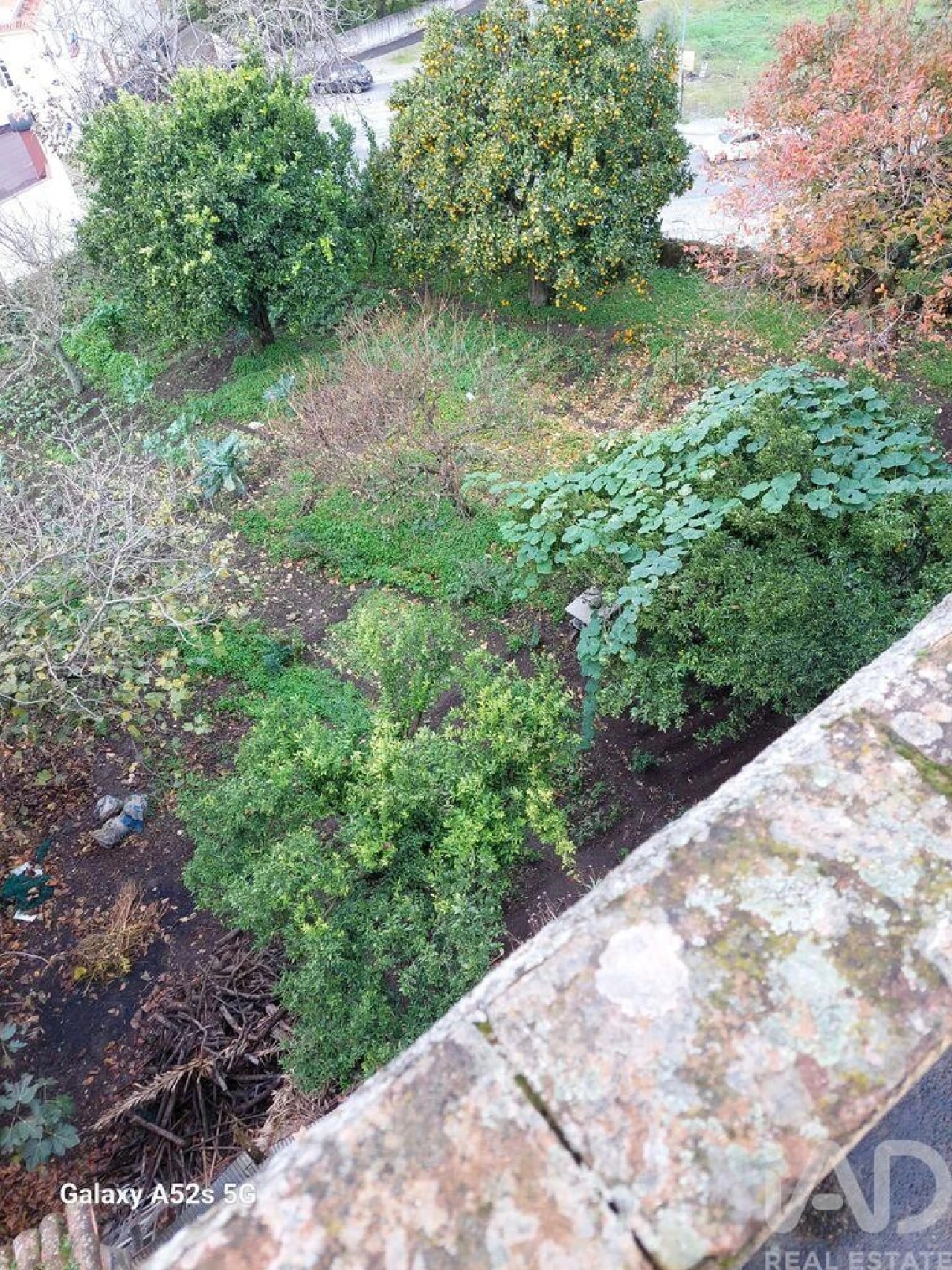 Prédio para Venda em Ribeira de Nisa e Carreiras Foto 20