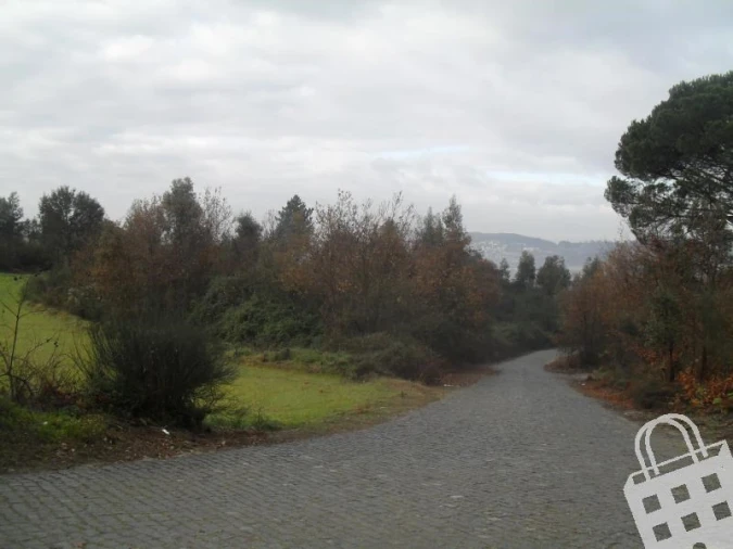 Terreno para Venda em Serzedelo Foto 6
