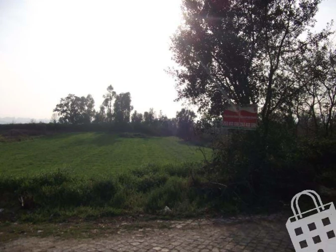 Terreno para Venda em Serzedelo Foto 3